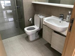 The Skywoods (D23), Condominium #456185841